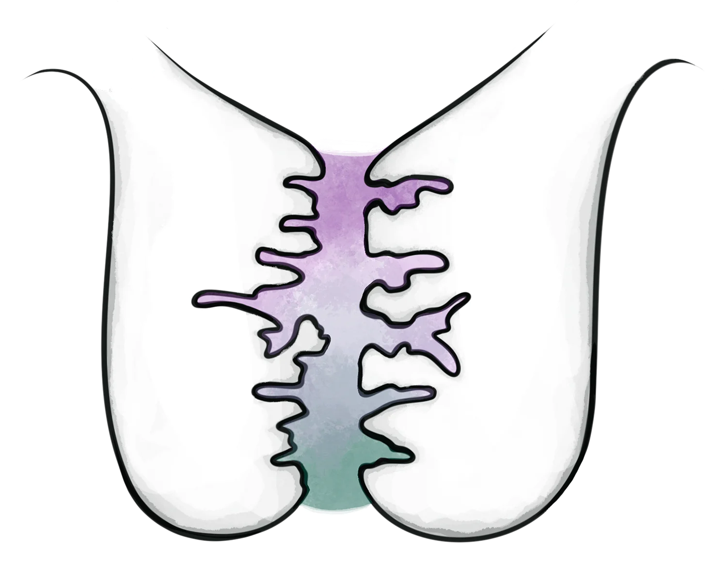 Justissecervix-72dpi_transp