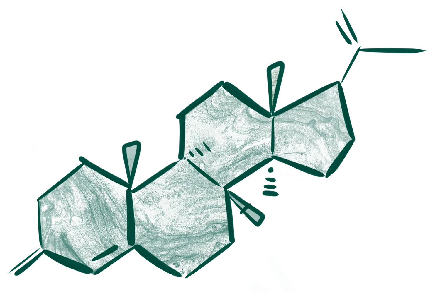 Progmolekyl-72dpi_transp
